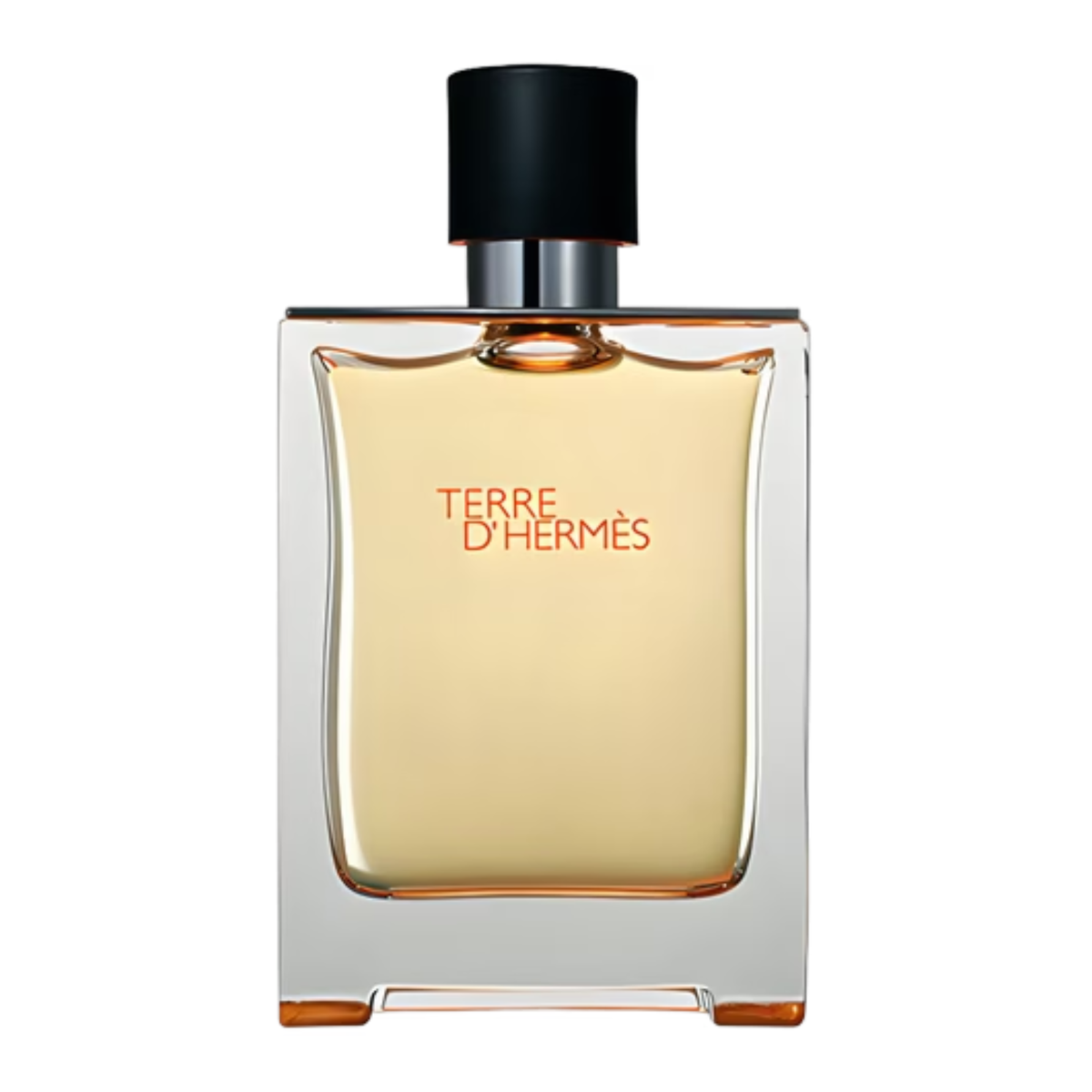 Hermès Terre d'Hermès Men 100ml